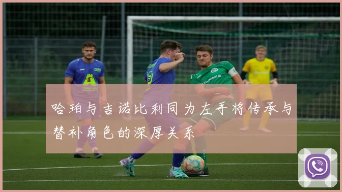 哈珀与吉诺比利同为左手将传承与替补角色的深厚关系