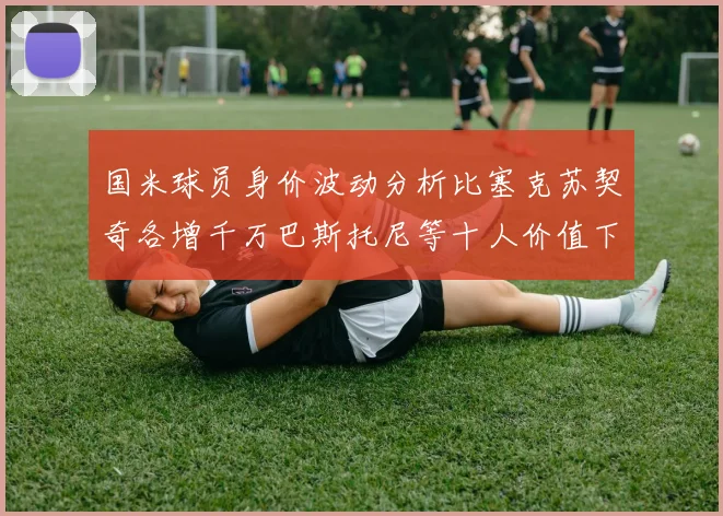 国米球员身价波动分析比塞克苏契奇各增千万巴斯托尼等十人价值下滑