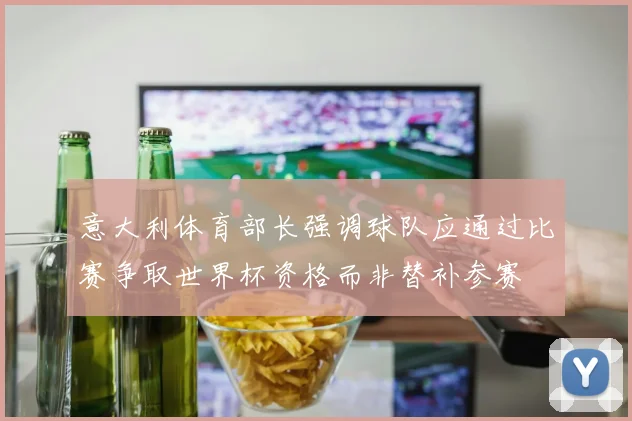 意大利体育部长强调球队应通过比赛争取世界杯资格而非替补参赛